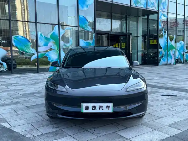 Tesla Model 3 2024
