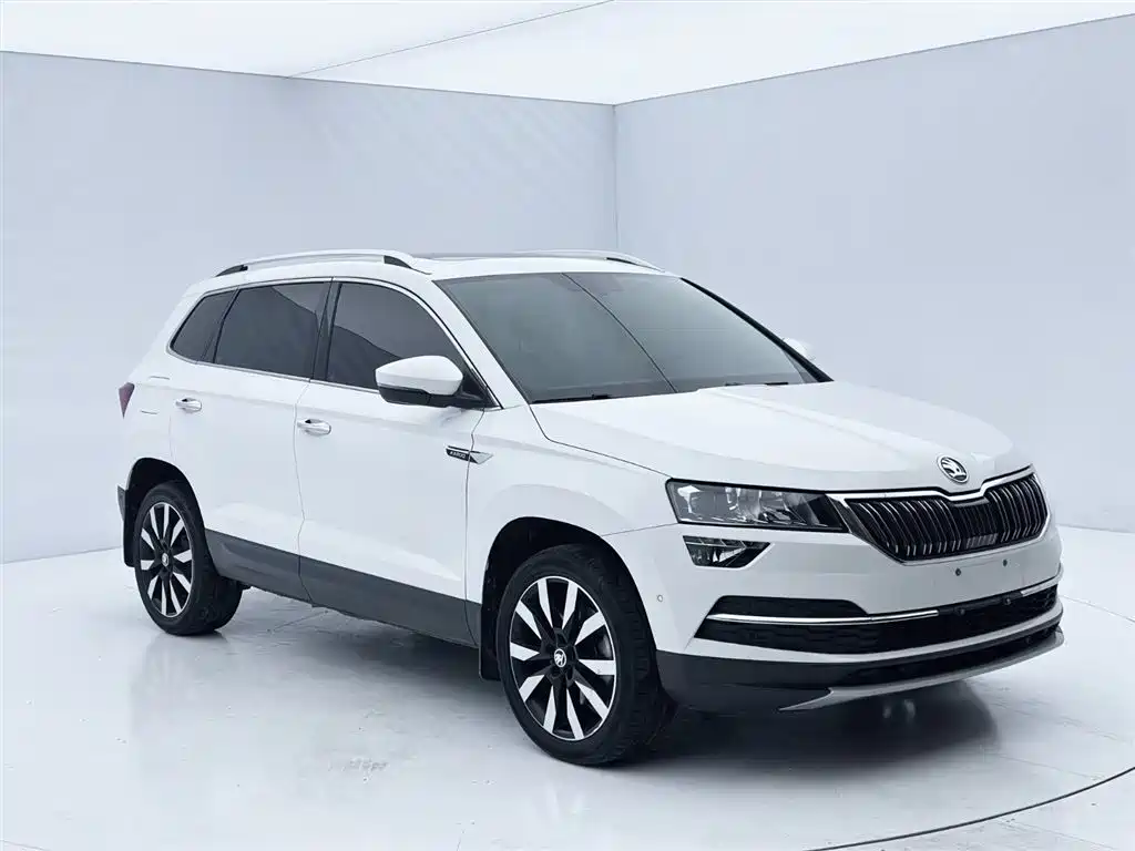 Skoda Karoq 2021 — фото 3