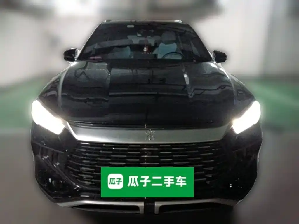 BYD Song Pro New Energy 2024 — фото 2
