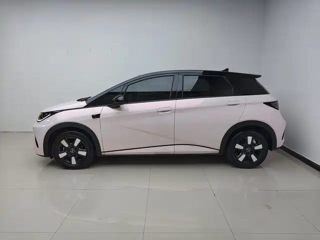 BYD Dolphin 2025