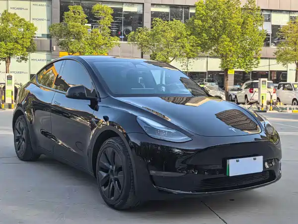 Tesla Model Y 2024