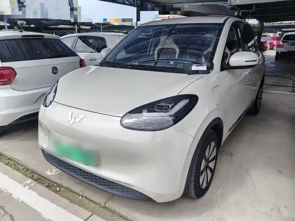 Wuling Bingo 2024