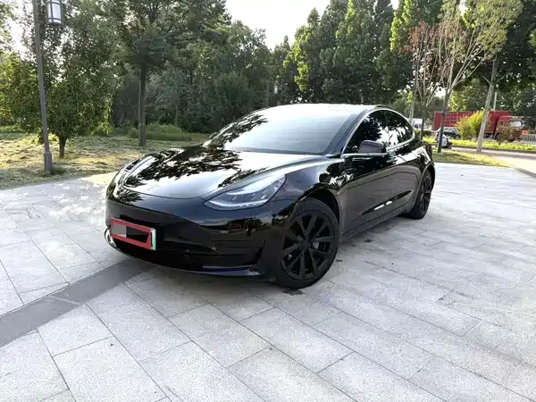 Tesla Model 3 2020