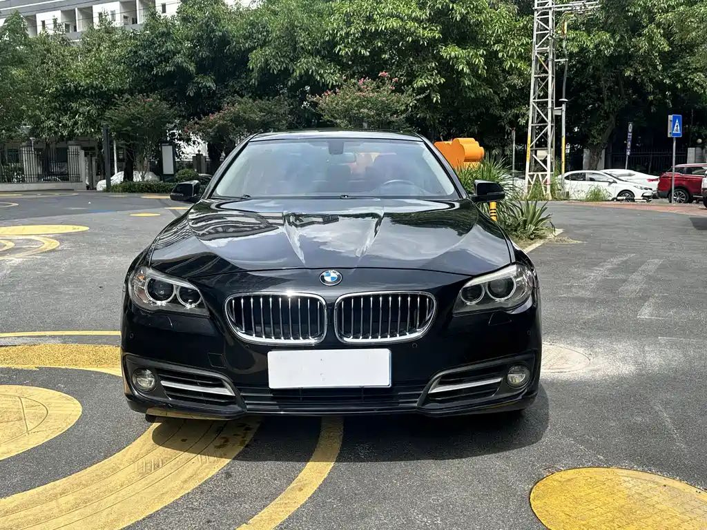 BMW 5 Series 2013