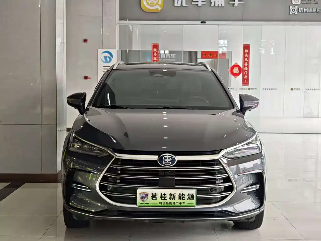 BYD Tang New Energy 2022 — фото 2