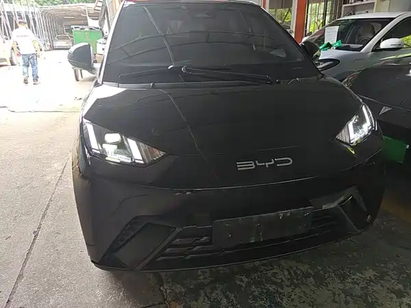 BYD Seagull 2024