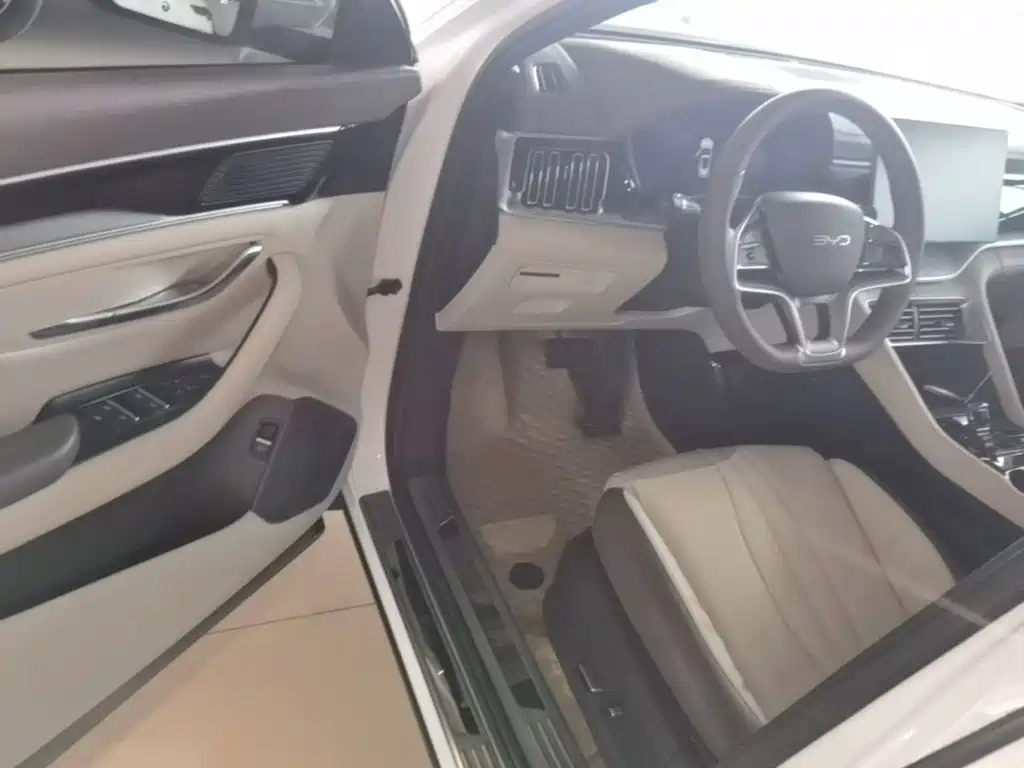 BYD PLUS New Energy 2025 — фото 16