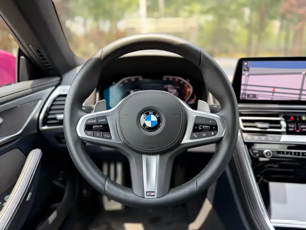 BMW 8 Series 2025 — фото 10