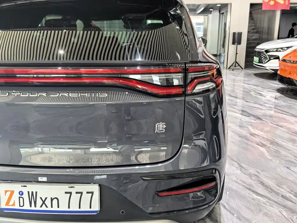 BYD Tang New Energy 2023 — фото 28