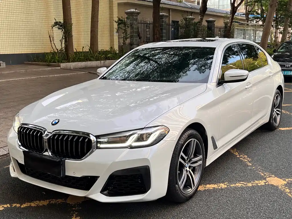 BMW 5 Series 2021