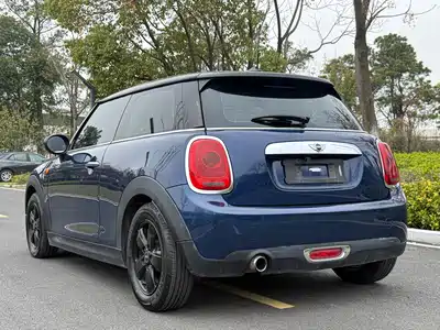MINI MINI 2014