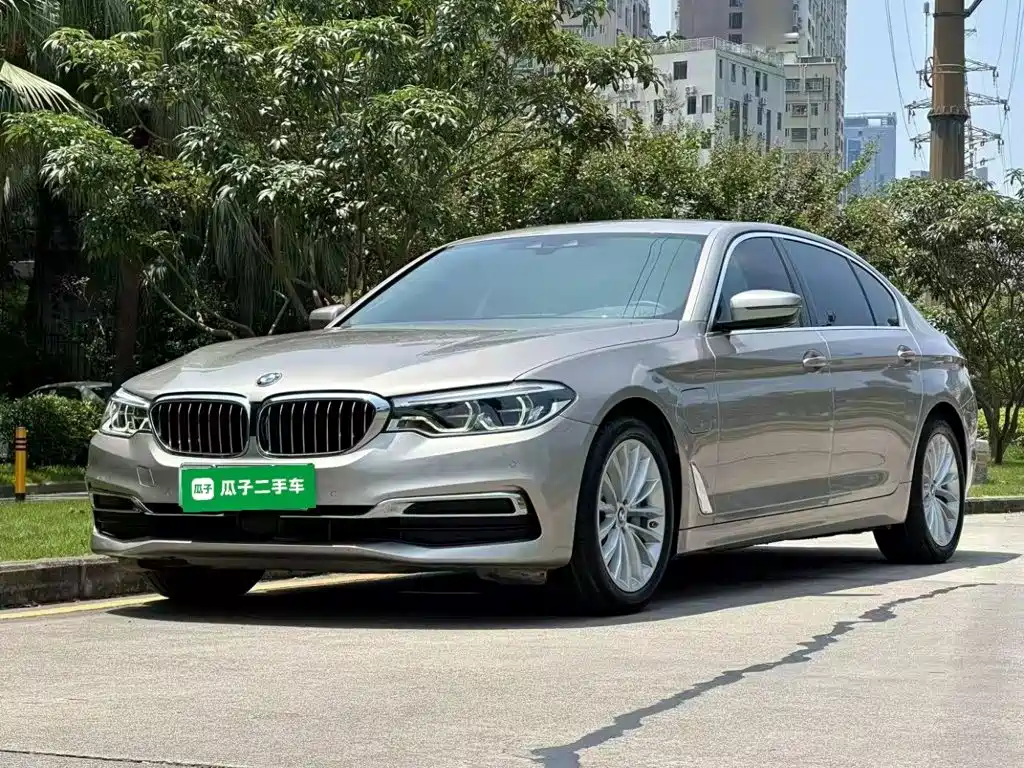 BMW 5 Series New Energy 2019