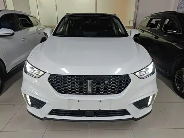 Wey VV5 2020
