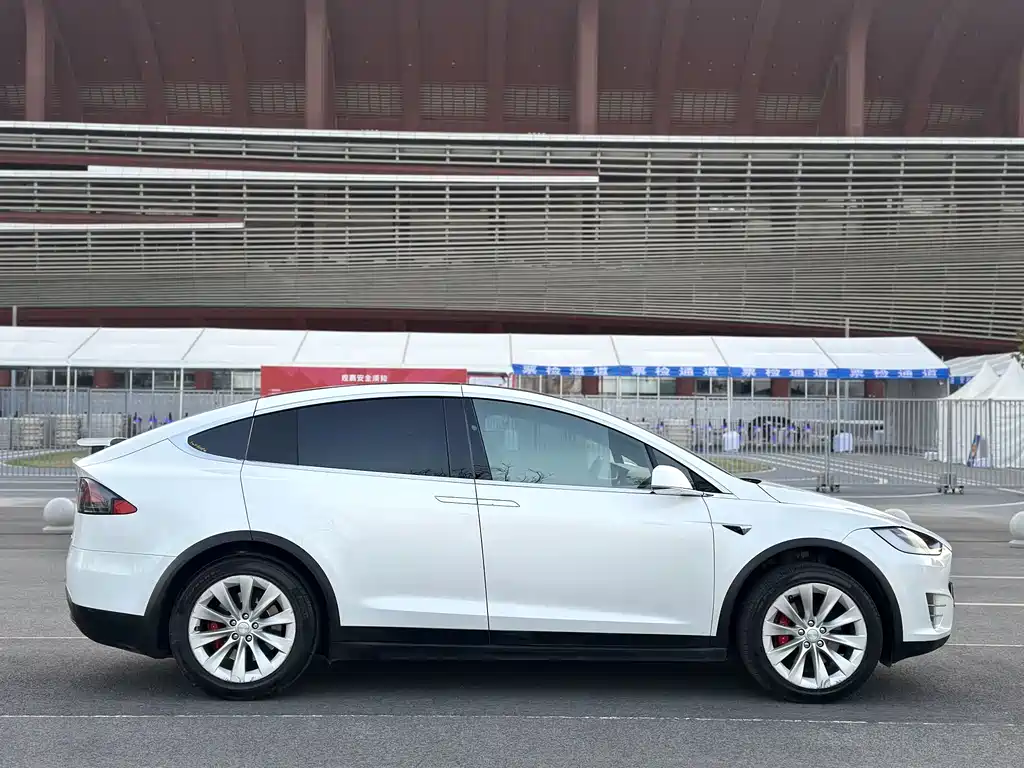 Tesla Model X 2019 — фото 4