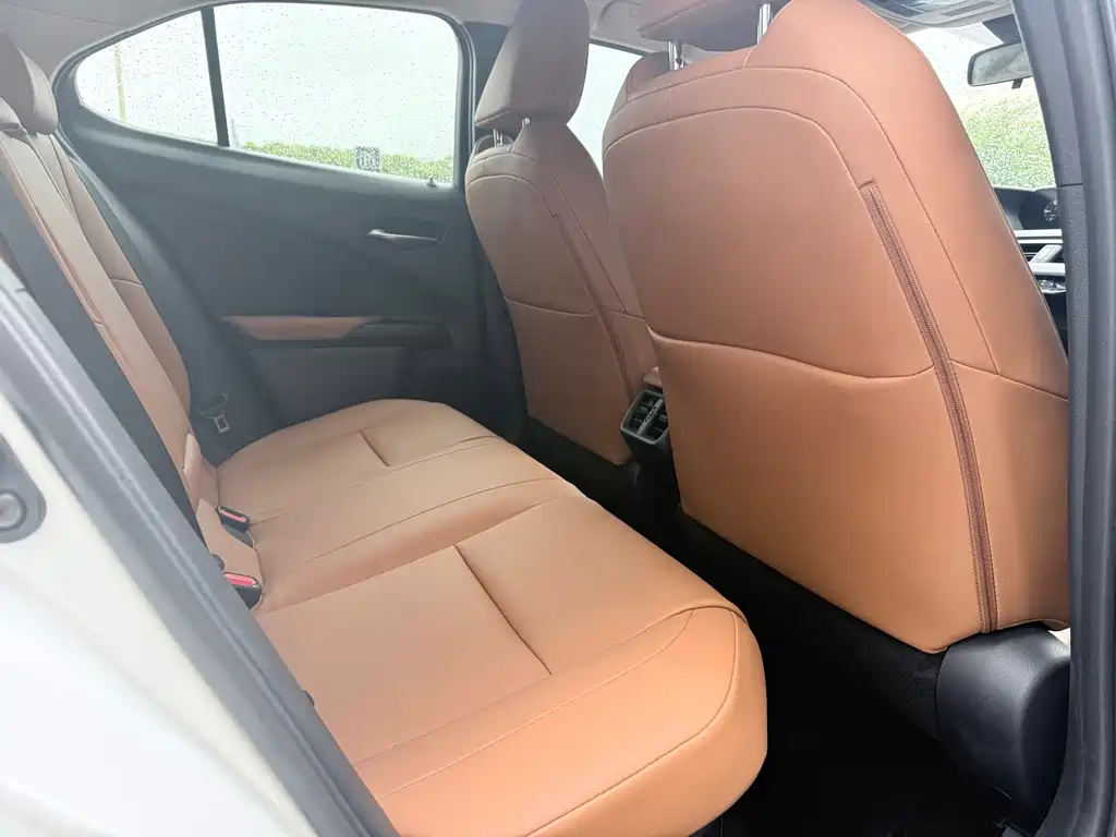 Lexus UX 2020 — фото 12