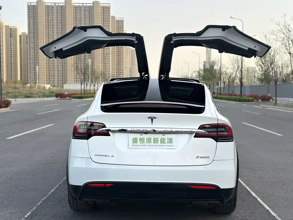 Tesla Model X 2019 — фото 11