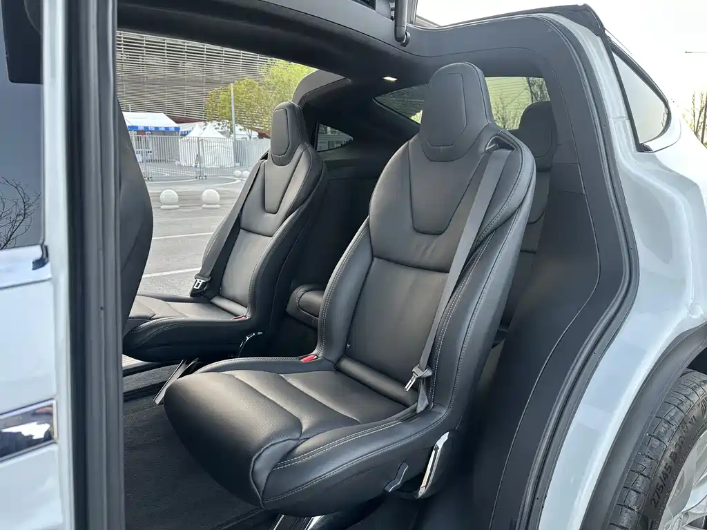 Tesla Model X 2019 — фото 16