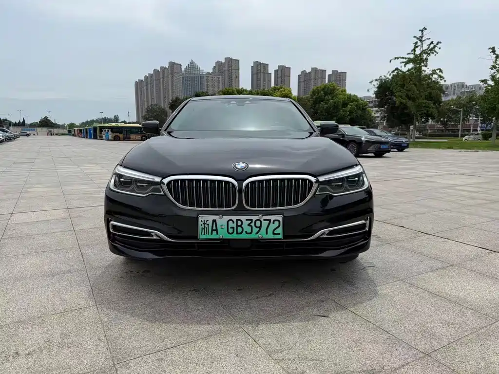 BMW 5 Series New Energy 2019