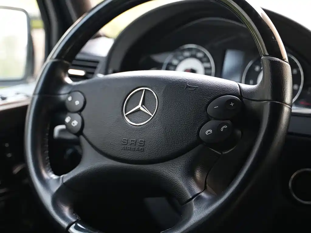 Mercedes-Benz G-Class AMG 2010 — фото 11