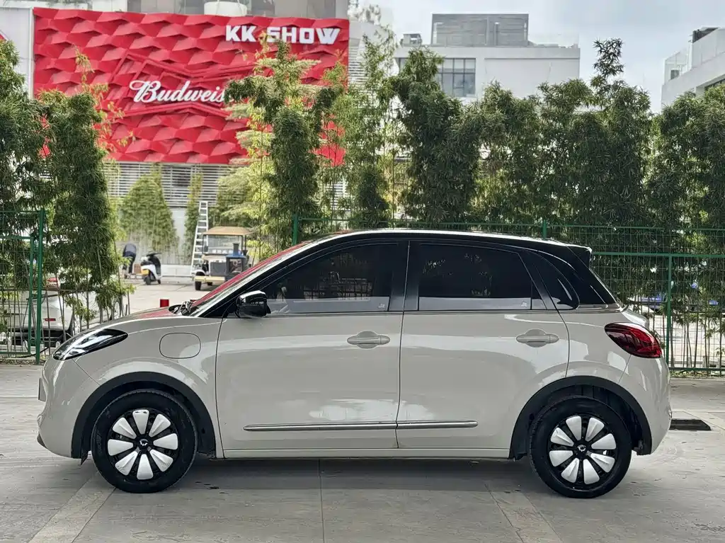 Wuling Bingo 2024