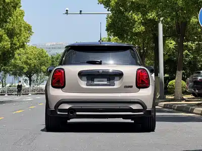 MINI MINI 2021