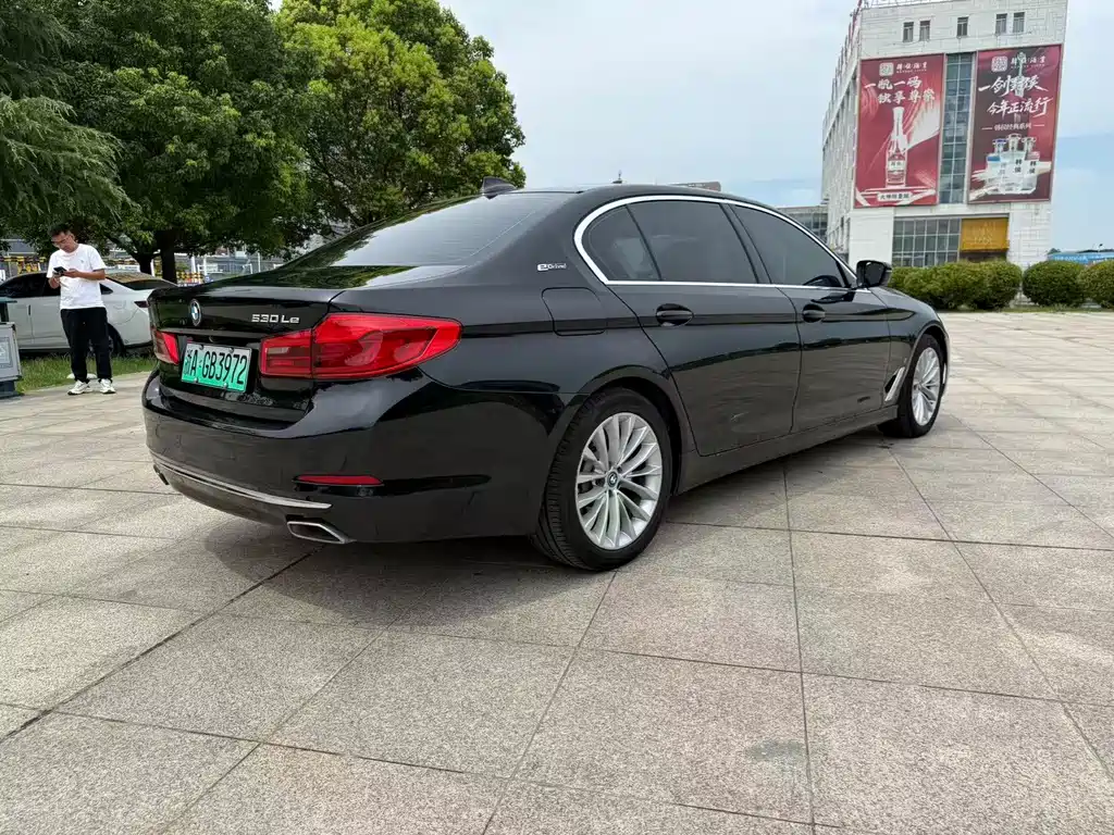 BMW 5 Series New Energy 2019