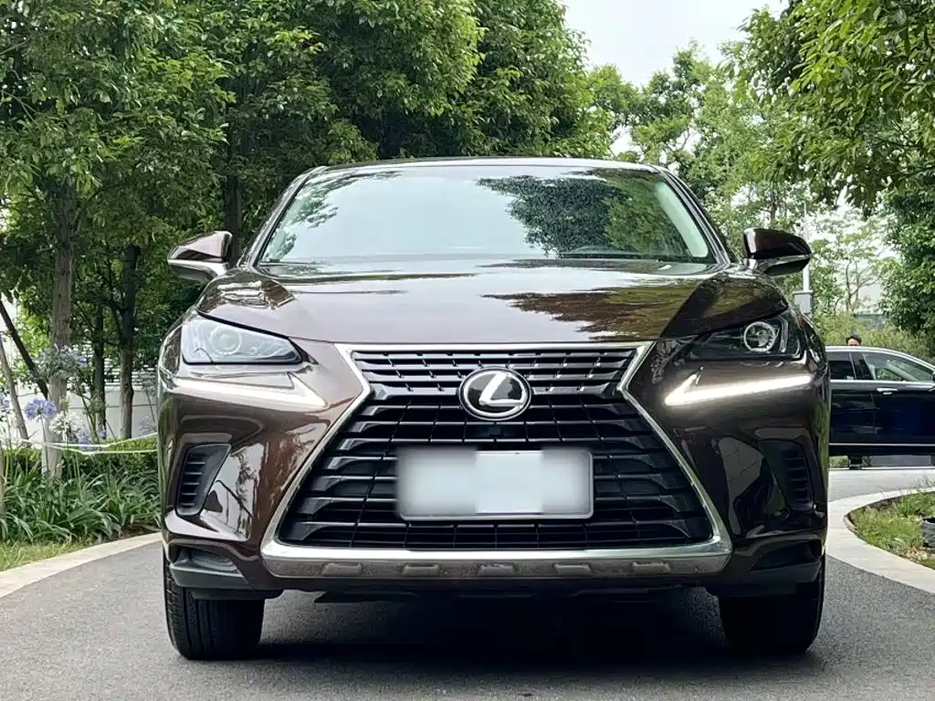 Lexus NX 2018 — фото 9
