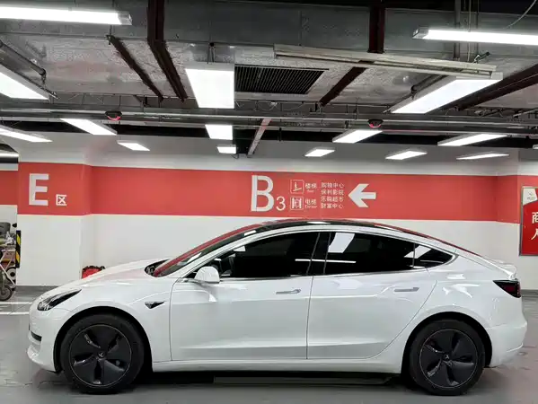 Tesla Model 3 2020