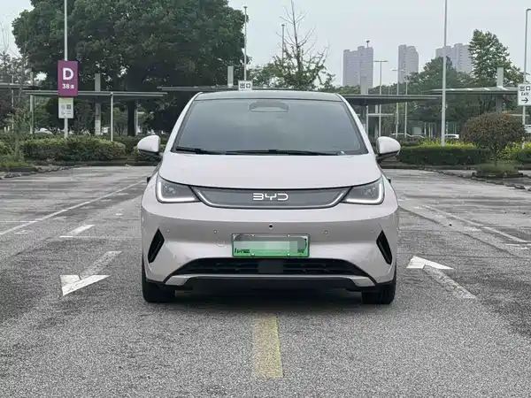 BYD Dolphin 2025
