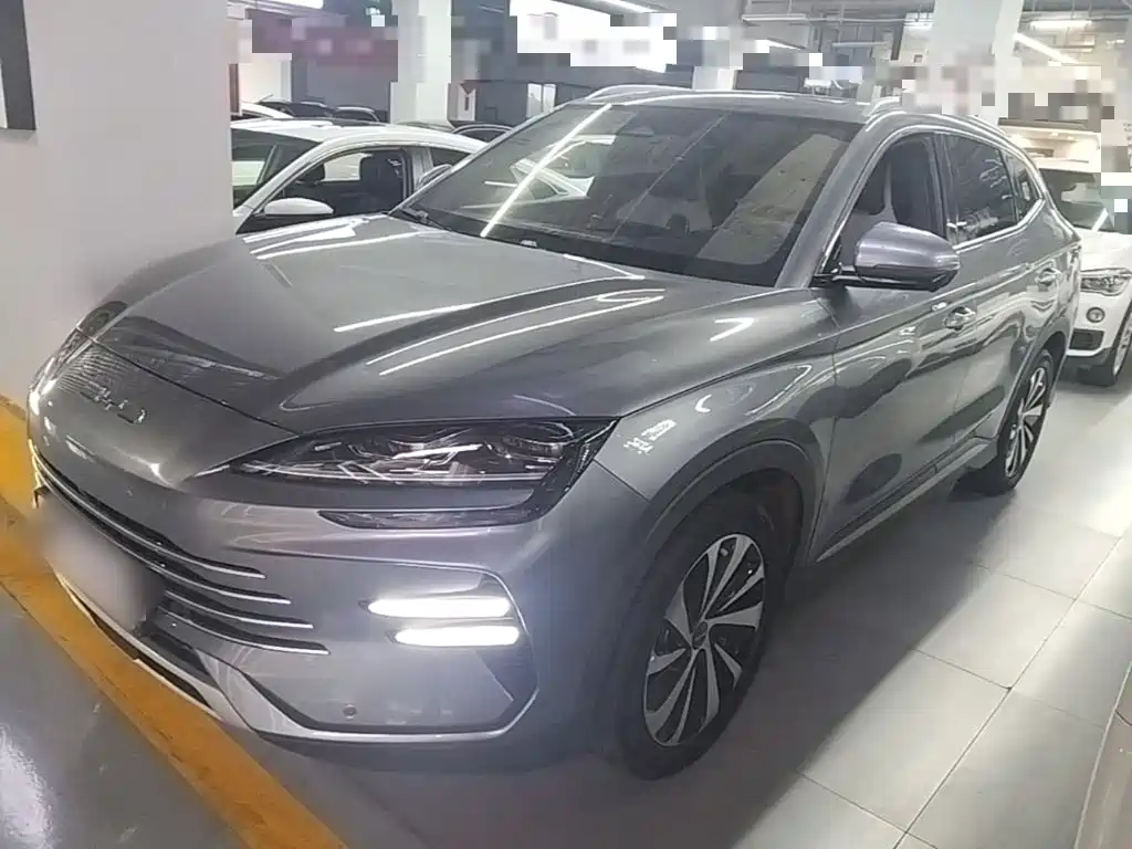 BYD Song PLUS New Energy 2024 — фото 2