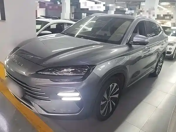 BYD Song PLUS New Energy 2024