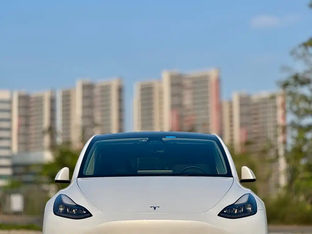 Tesla Model Y 2023 — фото 2