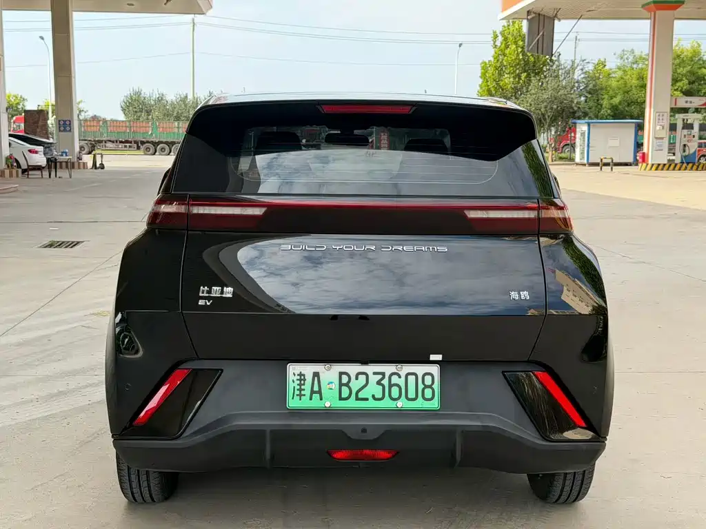 BYD Seagull 2024