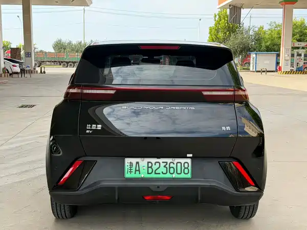 BYD Seagull 2024