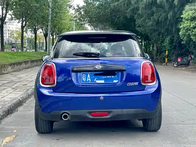 MINI MINI 2019