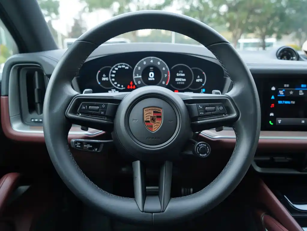 Porsche Cayenne 2025 — фото 16