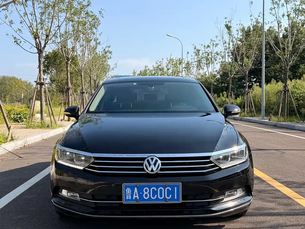 Volkswagen Magotan 2019