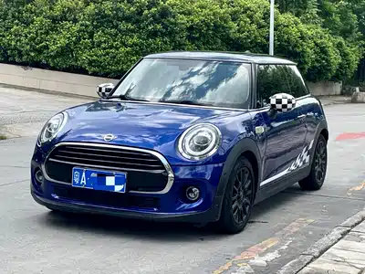 MINI MINI 2019