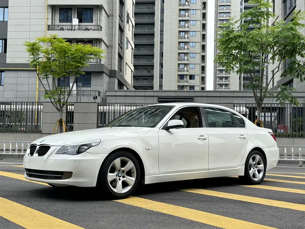 BMW 5 Series 2009