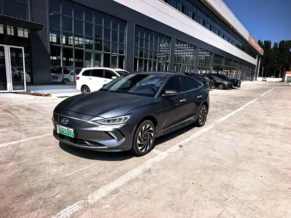 Hyundai Festa EV 2020