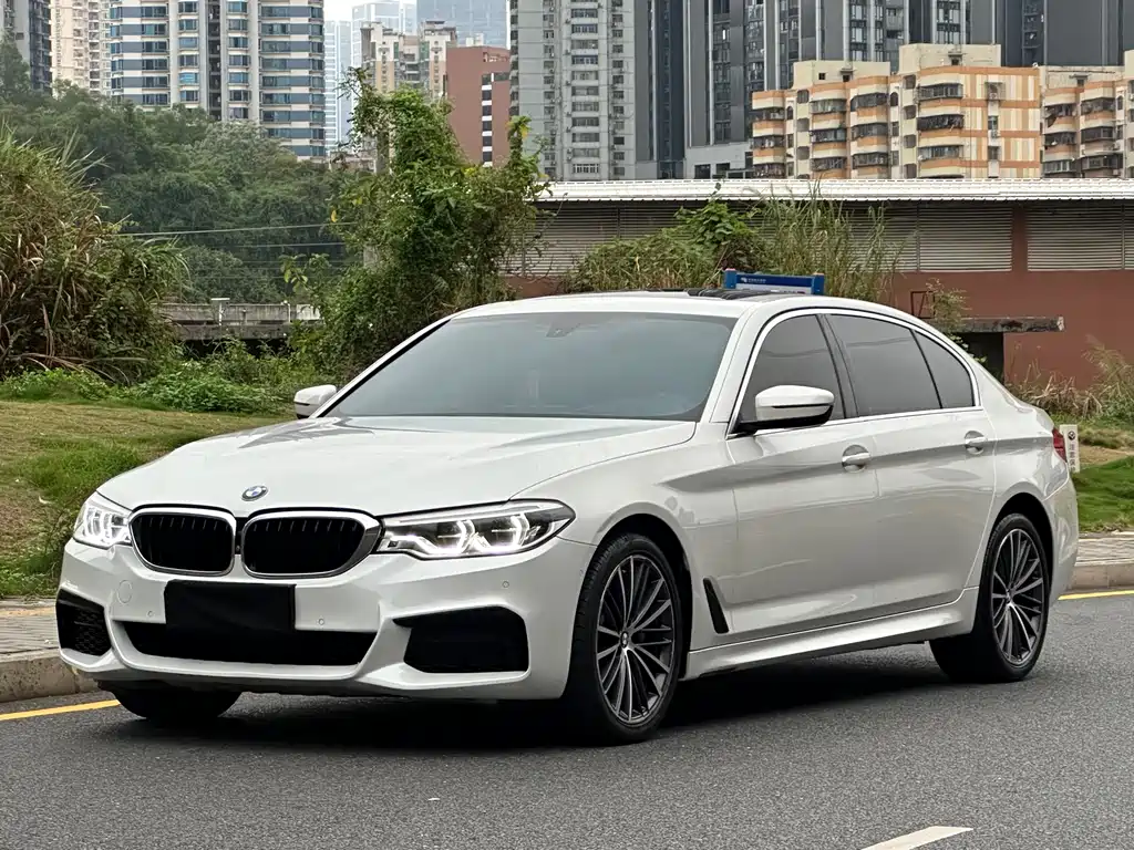 BMW 5 Series 2020 — фото 1