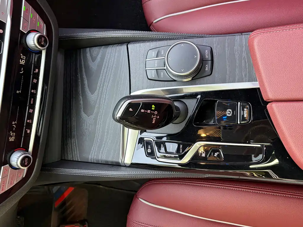 BMW 5 Series New Energy 2021