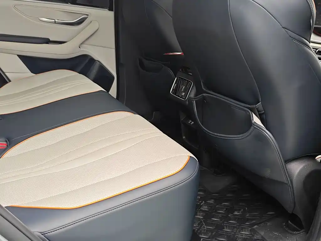 BYD PLUS New Energy 2023 — фото 12