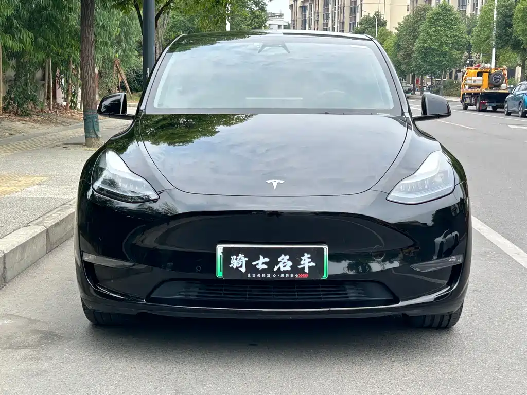 Tesla Model Y 2023 — фото 2