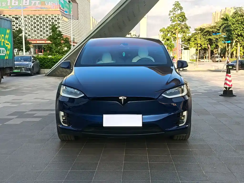 Tesla Model X 2016 — фото 4