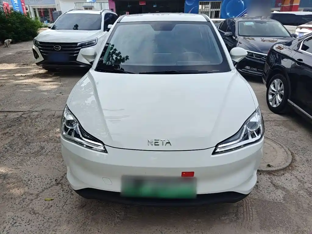 Neta V 2021