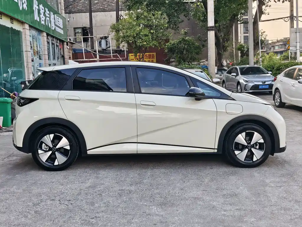 BYD Dolphin 2024