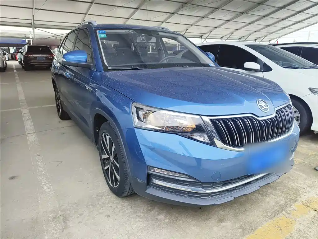 Skoda Kamiq 2019 — фото 22