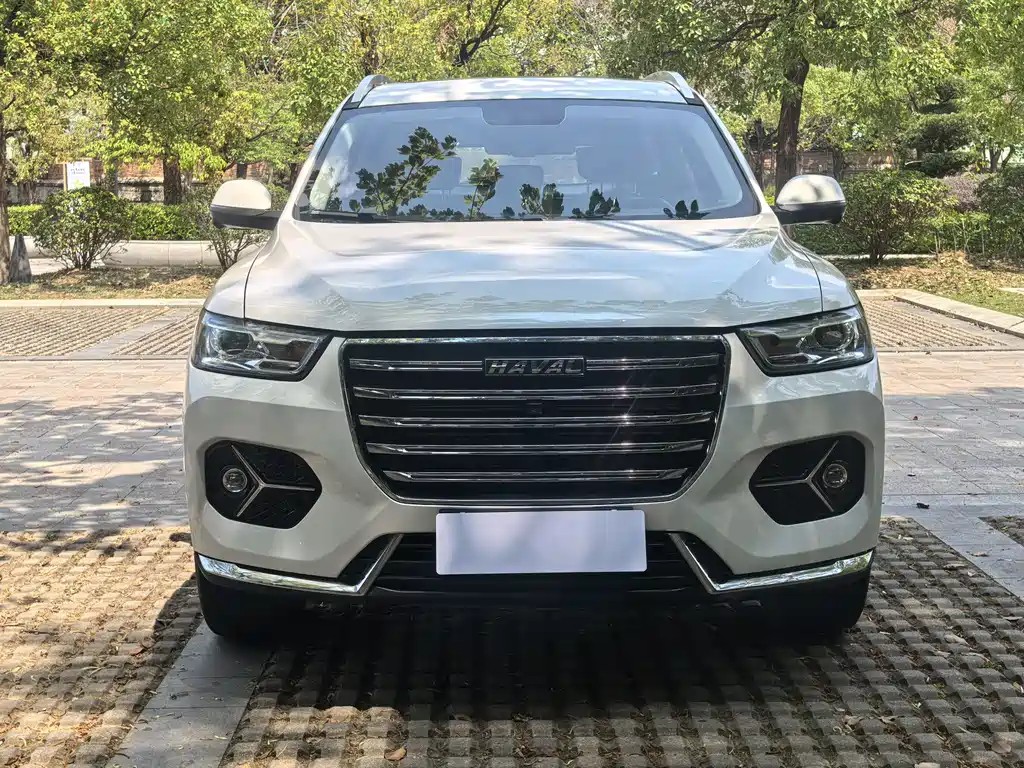 Haval H6 2021 — фото 2