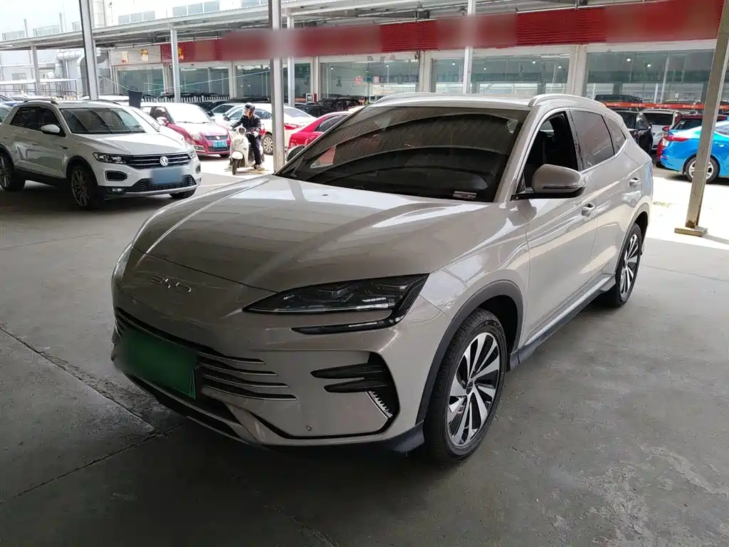 BYD PLUS New Energy 2024 — фото 1
